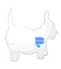 Hochwertiger Plakatstörer 4/0-farbig bedruckt in Hund-Form